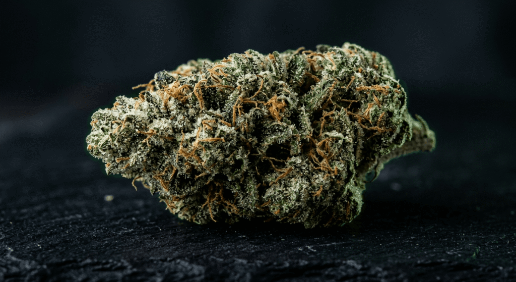 Premium THCA hemp flower bud with dense trichome coverage on dark background – Co.Exotics wholesale