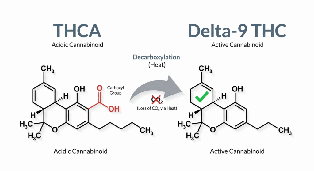 Diagram comparing THCA and Delta-9 THC molecular structures showing how decarboxylation removes the carboxyl group