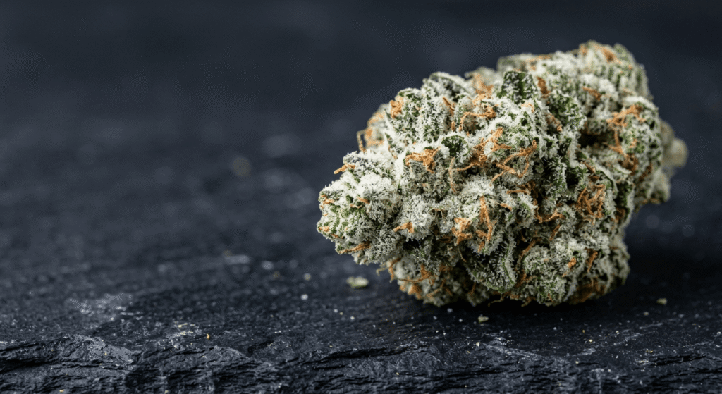 Close-up of raw THCA hemp flower bud covered in crystalline trichomes on dark slate — THCA meaning guide by Co.Exotics Wholesale