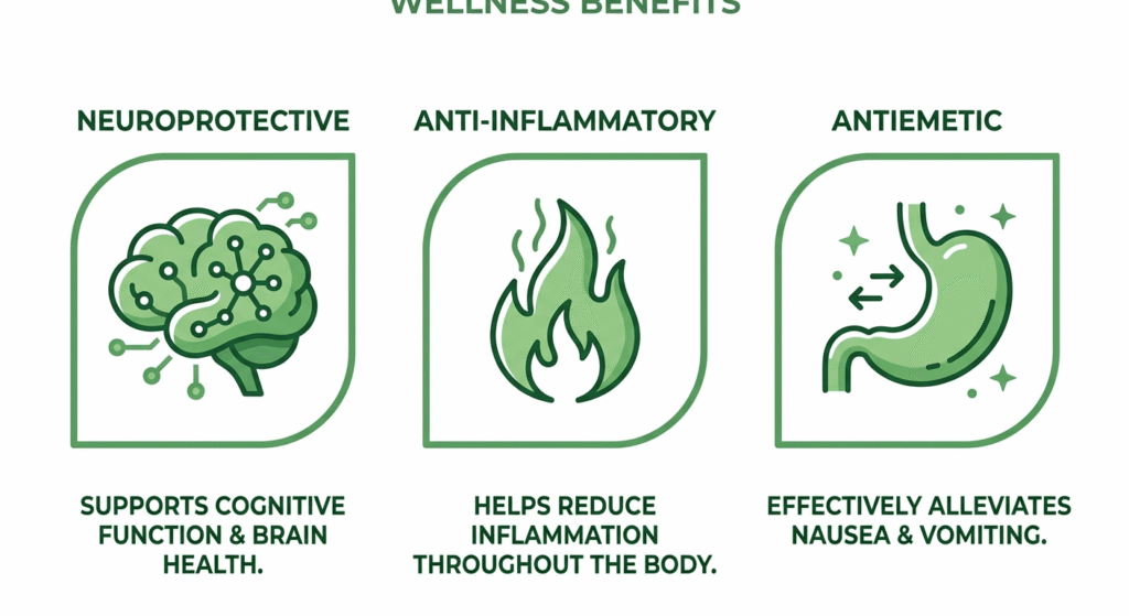 Infographic showing three key THCA medical benefits: neuroprotective effects, anti-inflammatory action, and antiemetic properties, illustrated with clean wellness icons