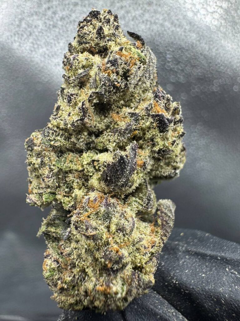 Black Cherry Gelato THCA indica hemp flower with dark purple buds, dense structure, and frosty trichomes – Co.Exotics wholesale