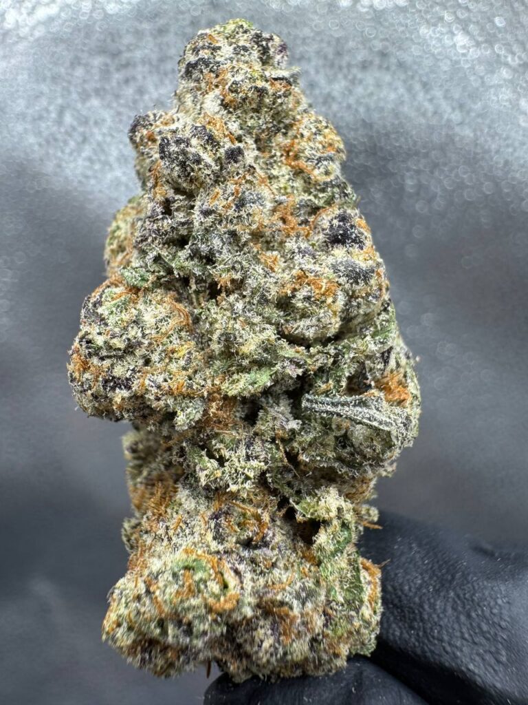 Jungle Banana indica THCA flower showcasing thick trichome-coated buds with tropical banana terpene profile bulk wholesale