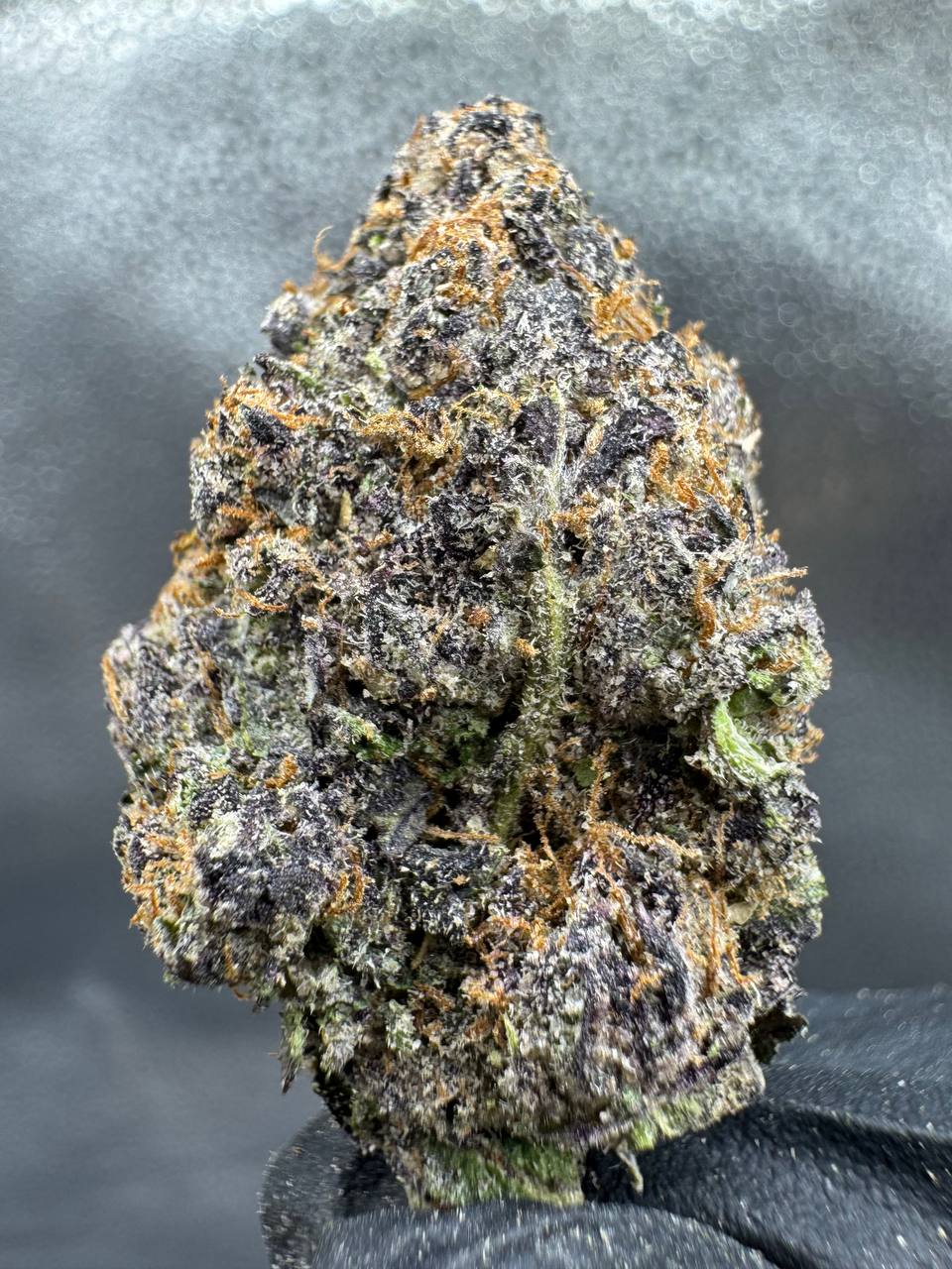 WhatsApp Image 2026-04-11 at 1.20.20 AM