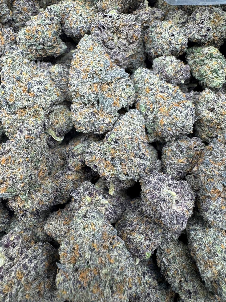 WhatsApp Image 2026-04-11 at 1.34.17 AM