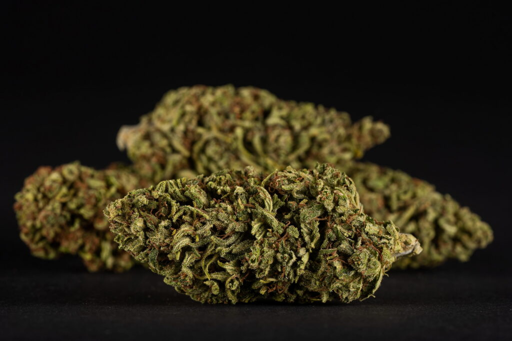 Two dense exotic THCa hemp flower buds with trichome coverage, reddish-brown pistils, and deep green coloring displayed on a dark studio background