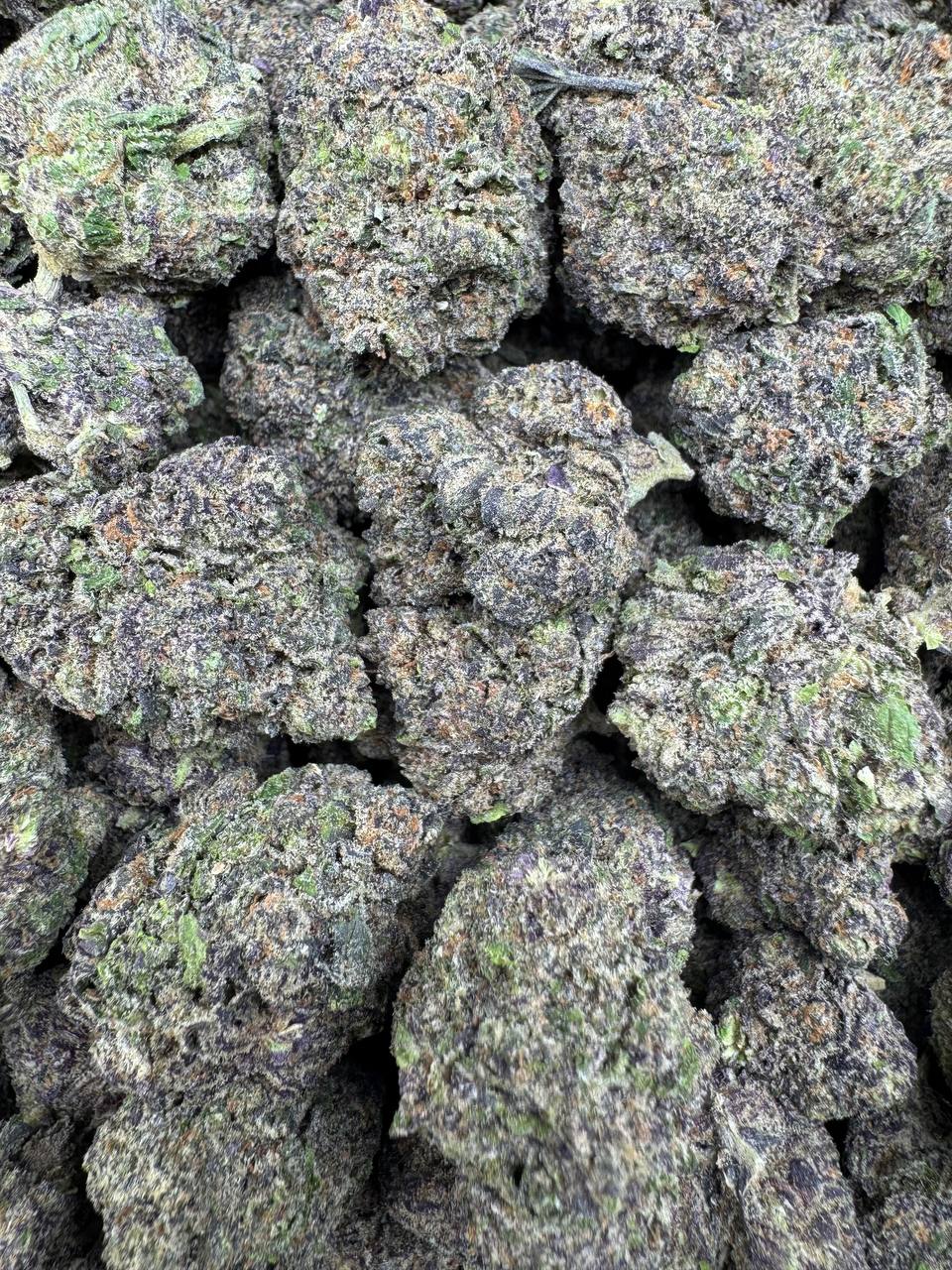 Pink Certz buds