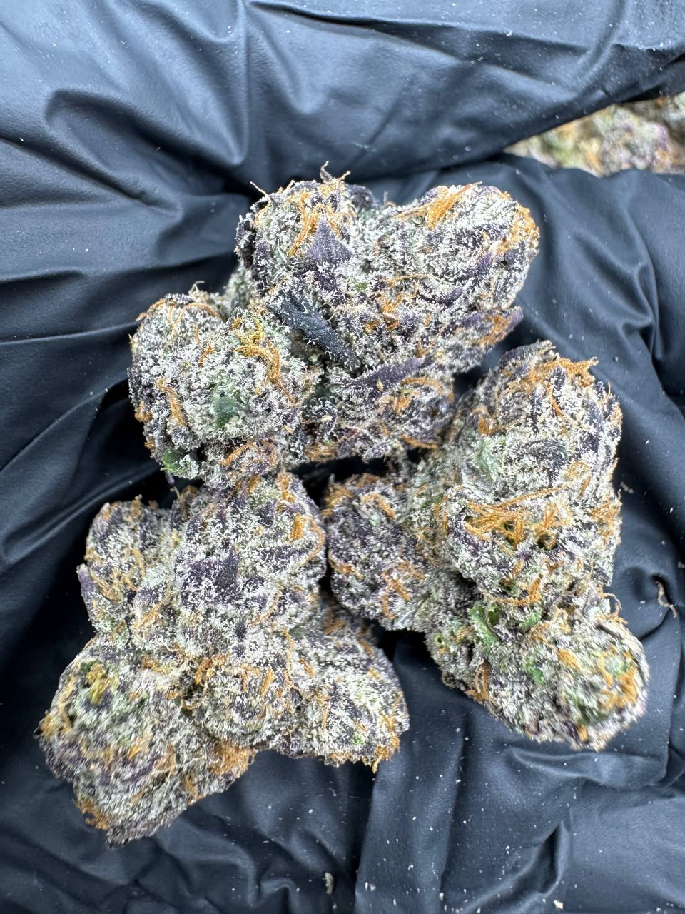 Blue Nerdz (Hybrid)