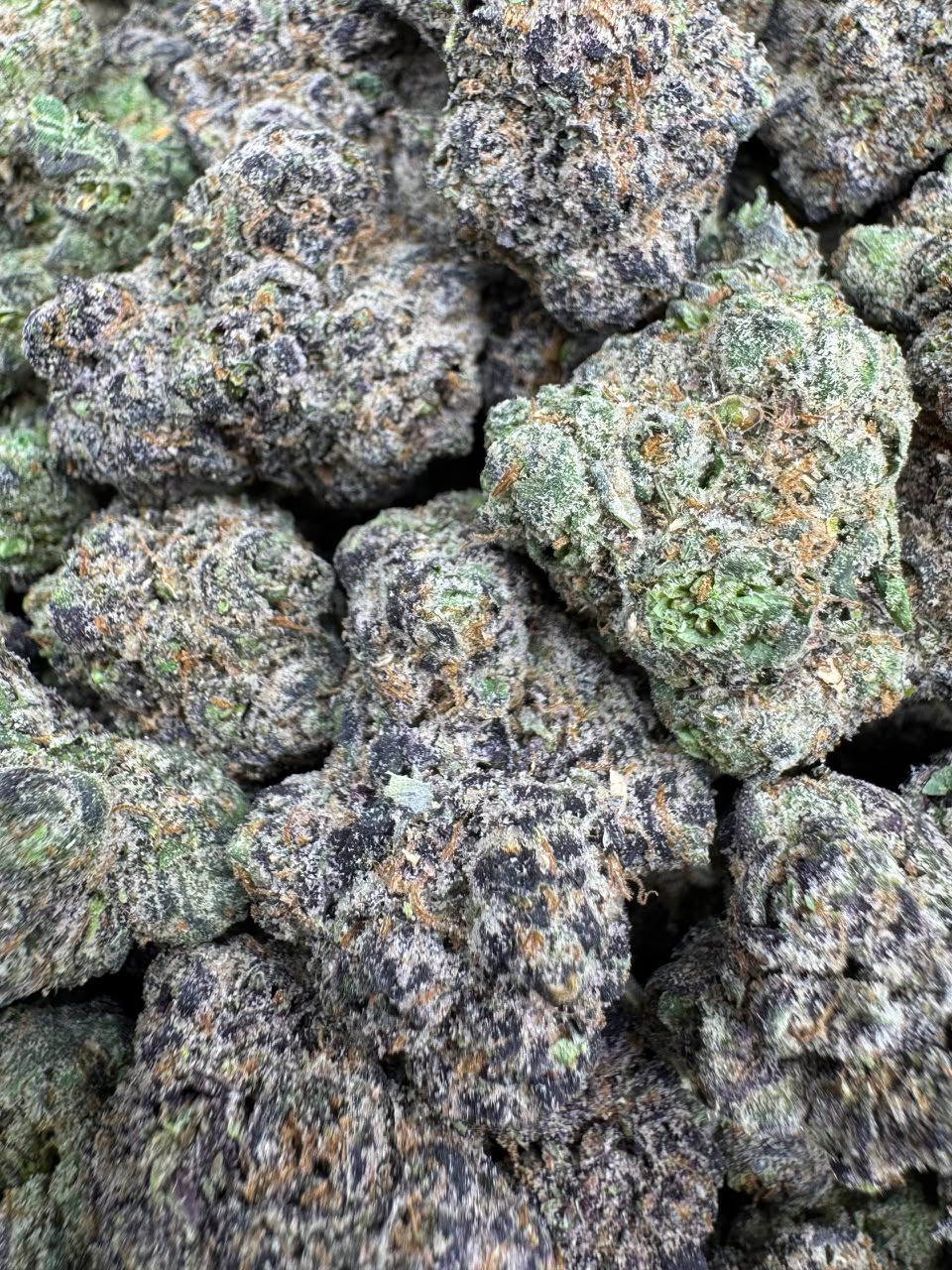 Candy Gelato