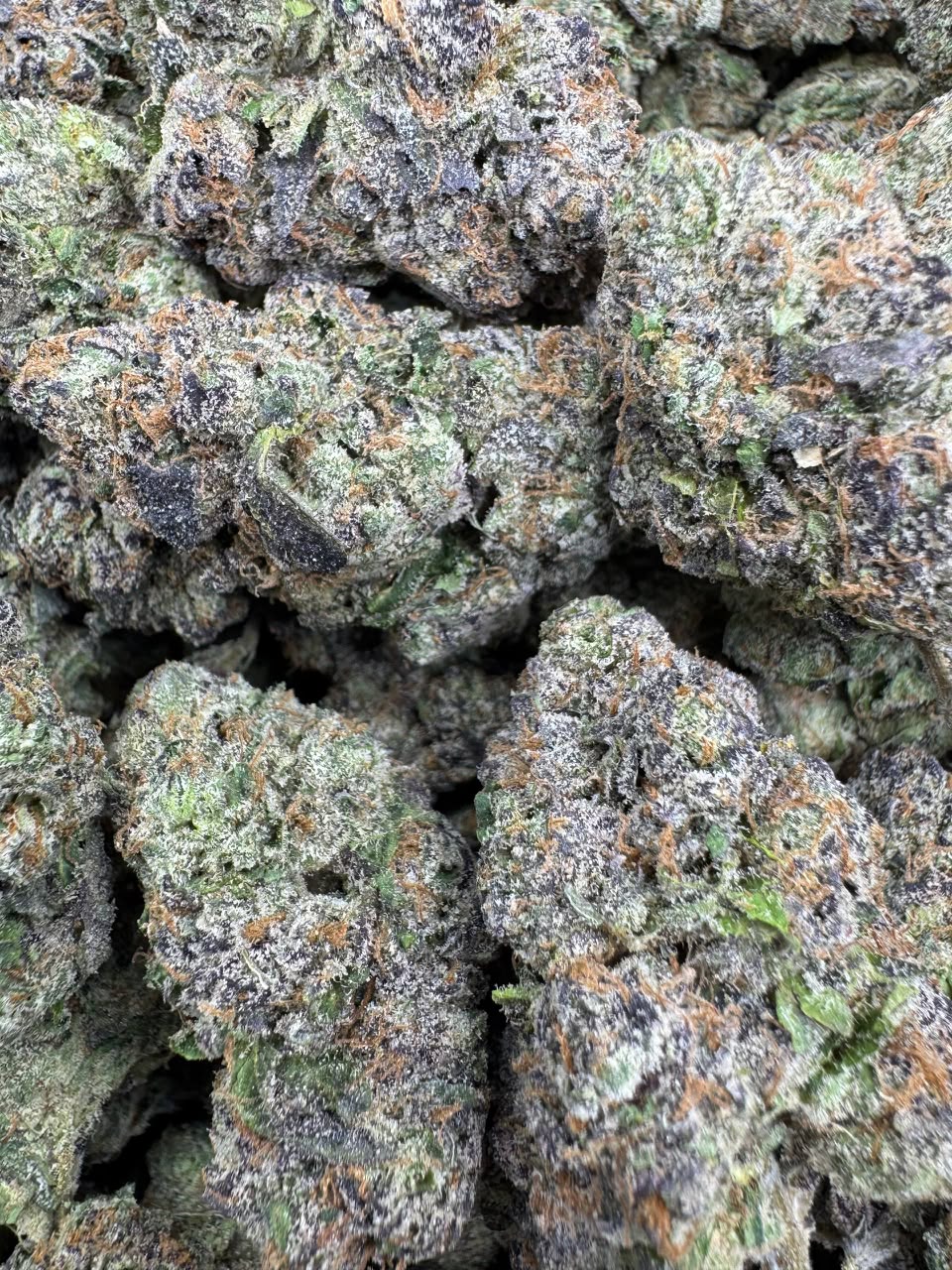 Frosted Cherries (Indica)