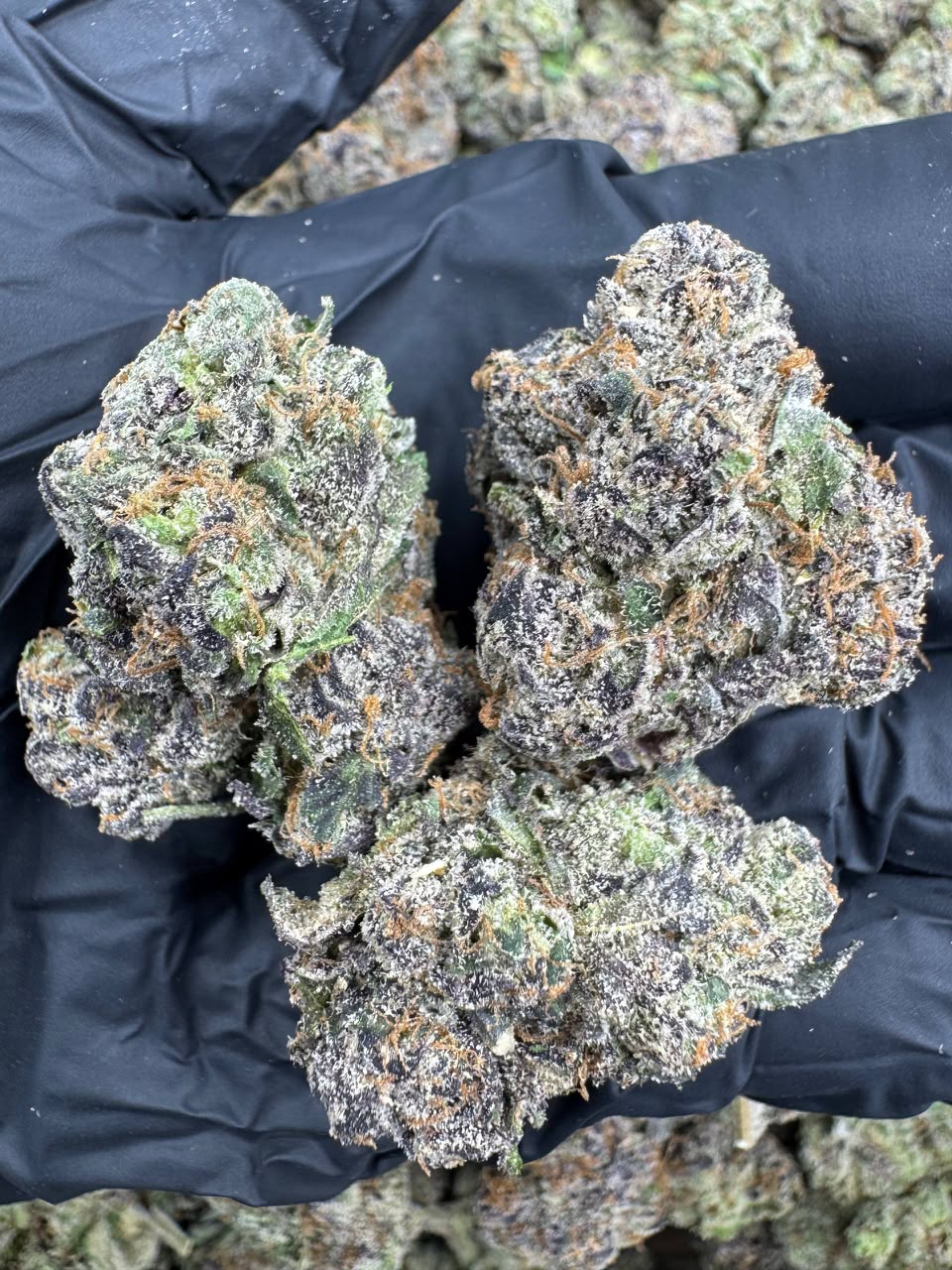 Frosted Cherries